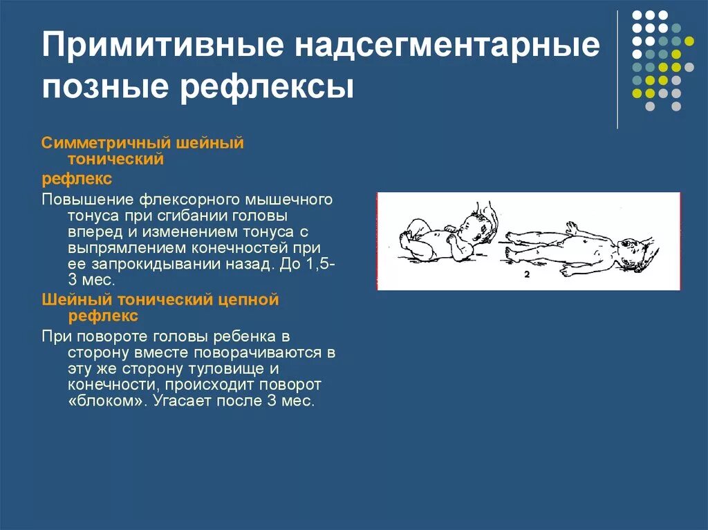 Врожденные рефлексы называют рефлексами. Симметричный шейный тонический рефлекс. Тонический рефлекс неврология. Рефлексы у детей до 1 года таблица. Лабиринтный тонический рефлекс.