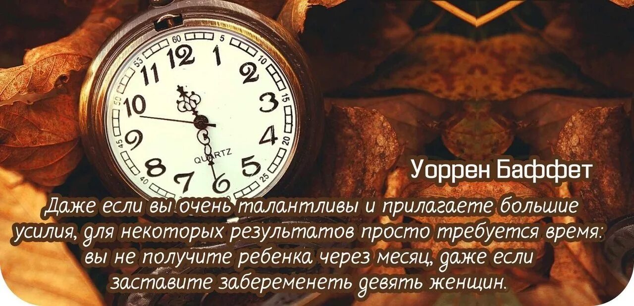 Даже если вы очень талантливы и прилагаете большие усилия для. Даже если вы очень талантливы. Уоррен Баффет цитаты. Даже если вы заставите забеременеть девять женщин. Через девять месяцев