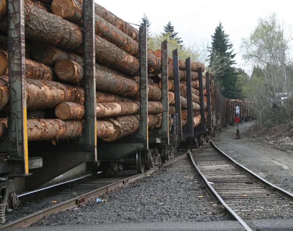 Лесовозные платформы Транслес. Платформа для лесоматериалов. Погрузка леса в вагоны. Вагоны с лесом.