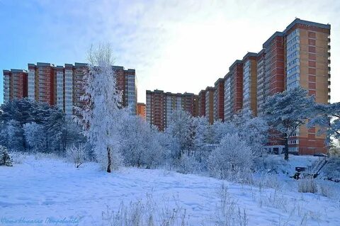 Форека сосновый бор