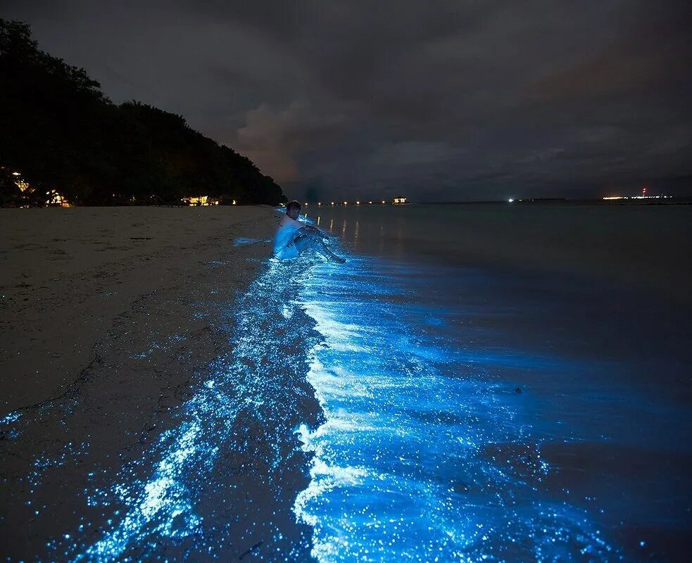 планктон. планктон. планктон. планктон. остров ваадху мальдивы светящийся планктон.