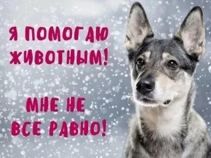Вам 2 я не могу помочь