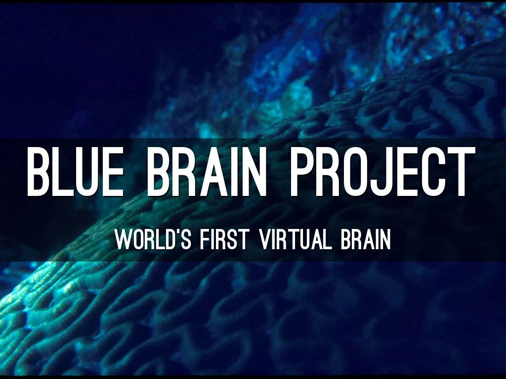 Brain project. Проект голубой мозг. Брейн проект. Проект синий. Мозг синий цвет.