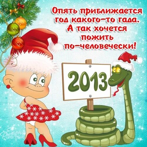 Вторник котики. Котик на подоконнике. Поведение при встрече с медведем. Приближаться опять. Одинокий человек в городе.