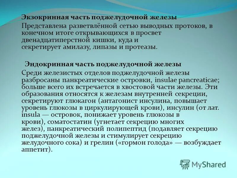 нарушение экзокринной функции поджелудочной железы. симптомы экзокринной недостаточности. экзокринная недостаточность поджелудочной железы симптомы. экзокринная функция поджелудочной железы. нарушение экзокринной функции поджелудочной железы.