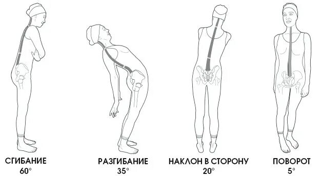 Движения поясничного отдела позвоночника. Объем движений в поясничном отделе позвоночника. Ограничение амплитуды движений в позвоночнике в шейном отделе. Амплитуда движений в поясничном отделе позвоночника. Объем движений в грудном, поясничном отдела позвоночника.