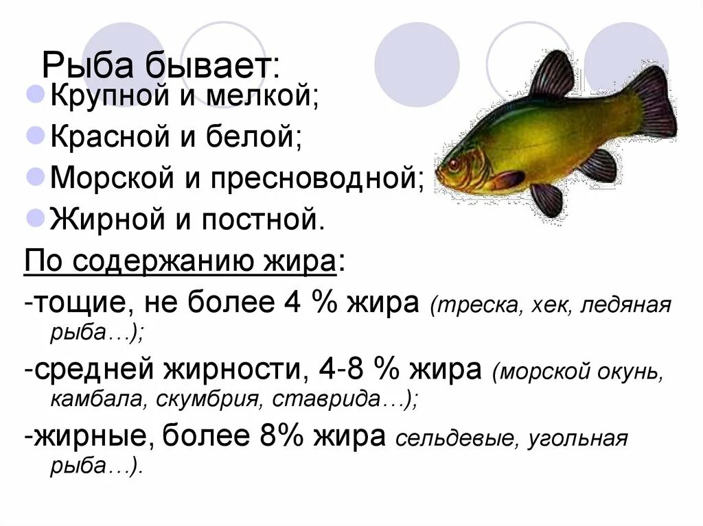 Презентация на тему рыбы. Проект на тему рыбы. Рыба для презентации. Презентация про рыбу по технологии.