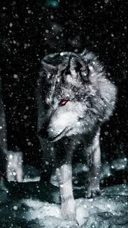Альфа wolfs
