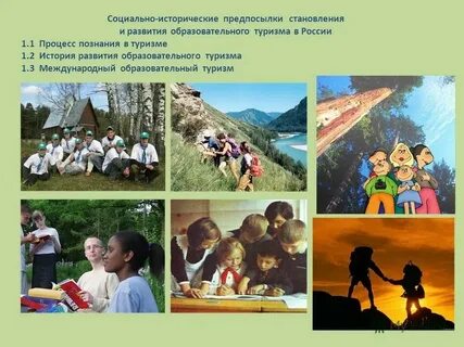 Социально исторические проекты