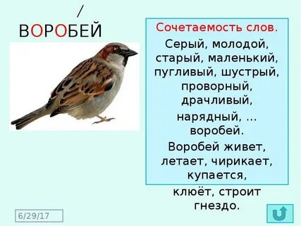Воробей составить предложение 1 класс