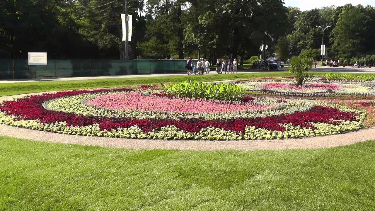 Клумба центр. Клумба центр. Клумба центр. Розарий рабатка. Клумба рабатка рокарий миксбордер.