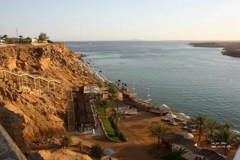 Beach albatros sharm 4 отзывы