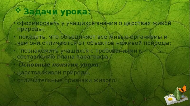 Биология 5 разнообразие живой природы. Задачи про природу. доклад о разнообразии живой природы. план на тему разнообразие живой природы. задачи к проекту многообразии живой природы.