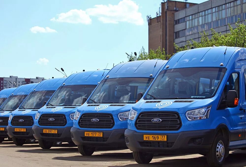 Ford Transit Мосгортранс. Мерседес Спринтер Мосгортранс. Маршрутное такси в Москве. Маршрутный микроавтобус. Маршрутные автобусы москвы