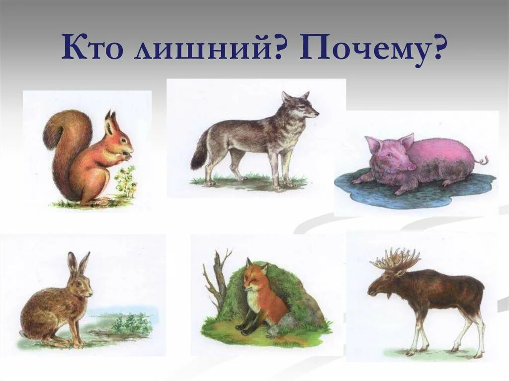 исключите лишнее животное