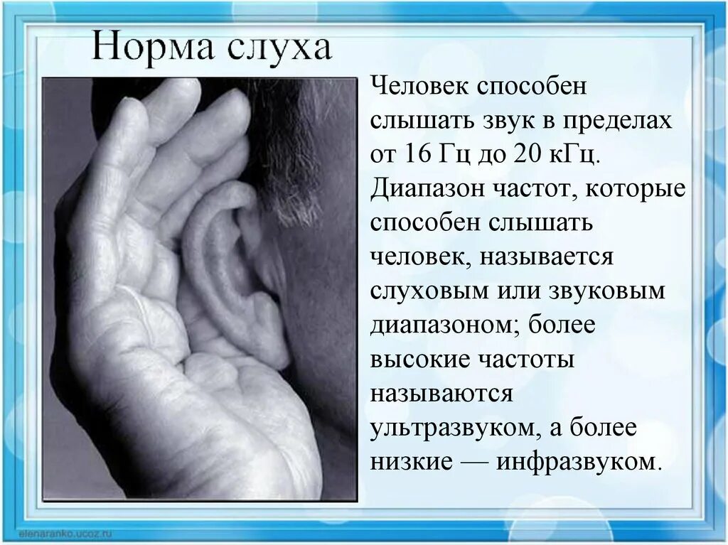 Приятные слуху слова. Слух человека. Нормальный слух у человека. Слух человека и животных. Сообщение о слухе человека.