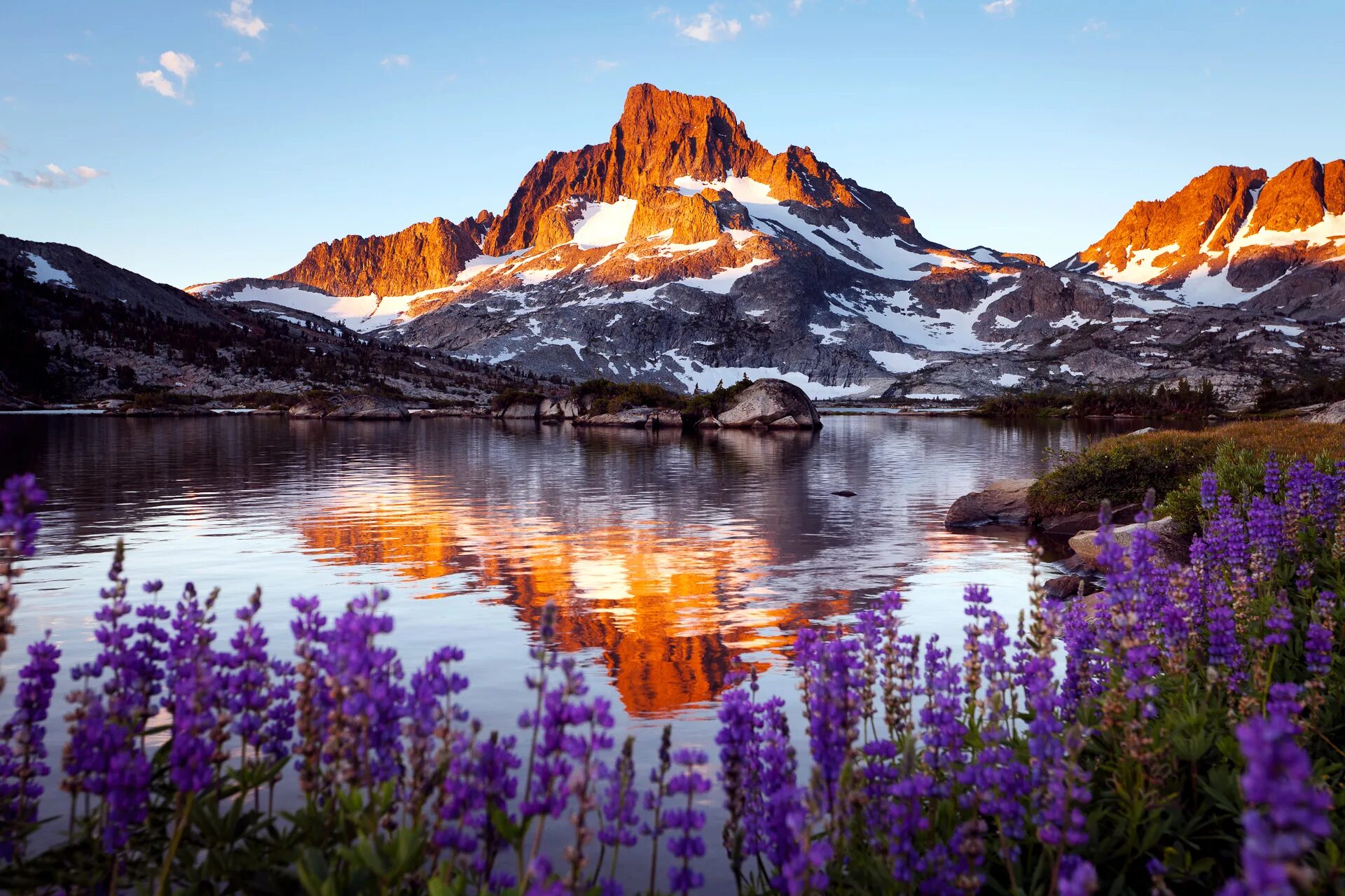 Большие бесплатные картинки красивые. Аляска горы цветы. Яркая природа. Красота природы. Красивый пейзаж.
