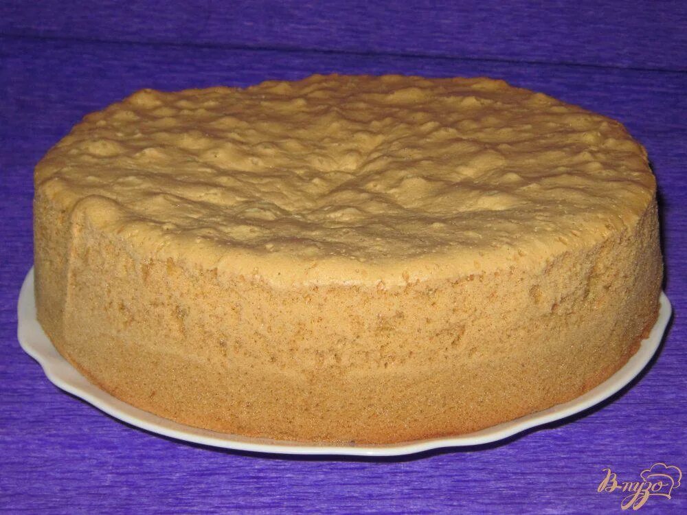 Пористый бисквит. Классический торт ванильный бисквит. Бисквит высокий пышный. Пышный бисквит в духовке. Медовый бисквитный торт.