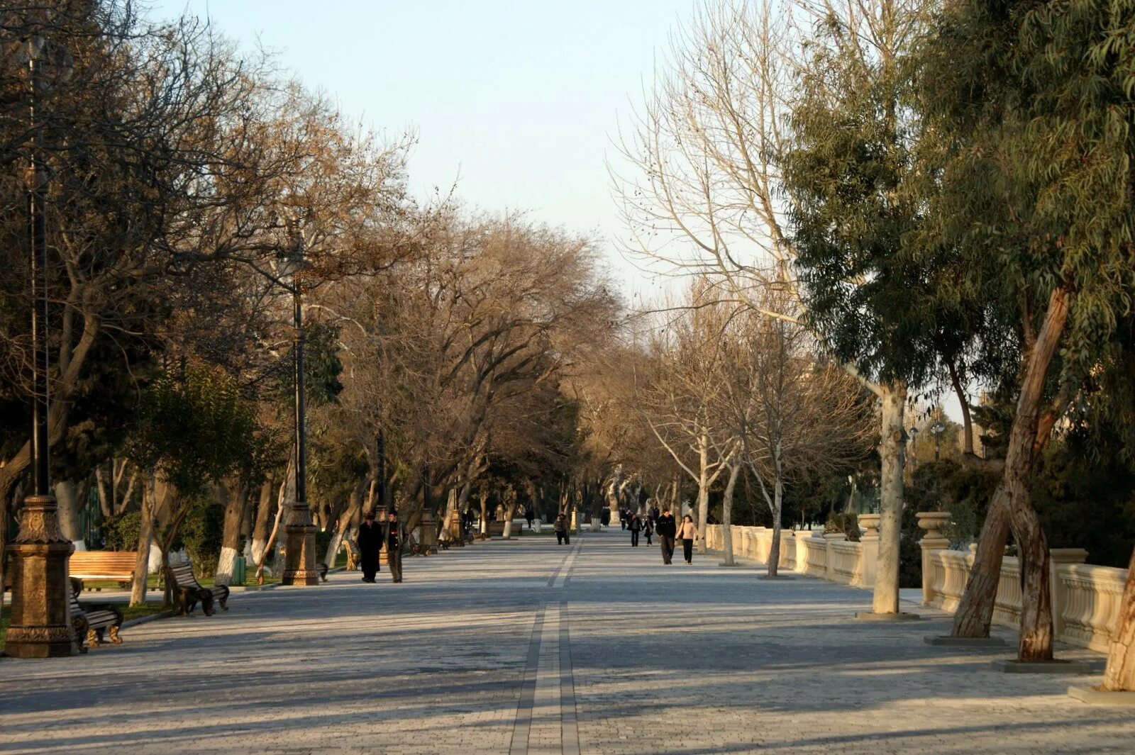 Бакинский парк. Сад филармонии в баку. Хатаи парк в баку. Парк дружбы волгоград-баку. Бакинский парк.