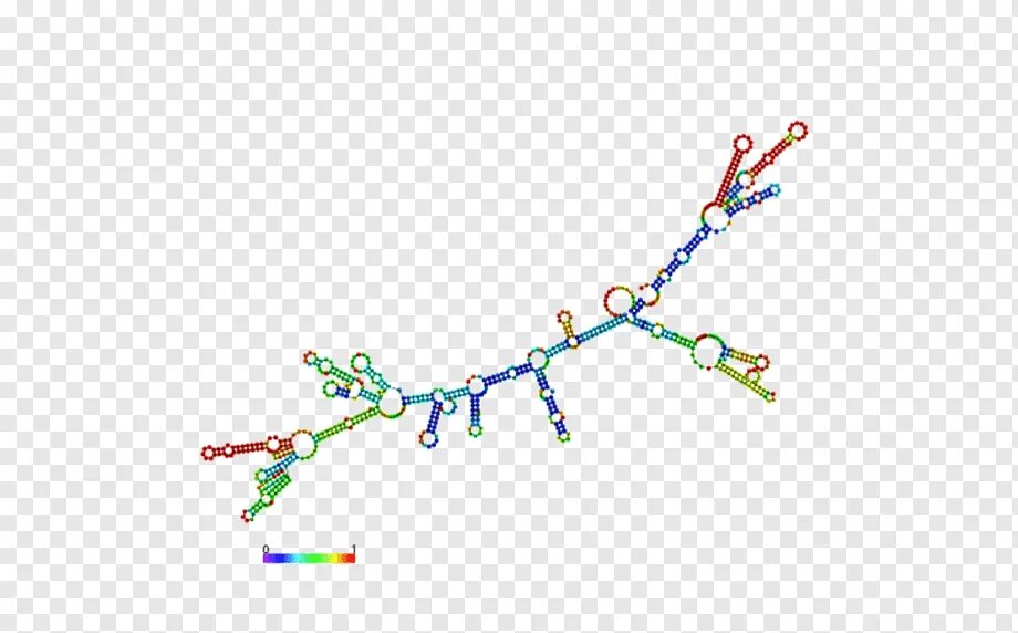 МРНК рисунок. РНК на прозрачном фоне. Высокополимерная РНК. М-РНК на прозрачном фоне.