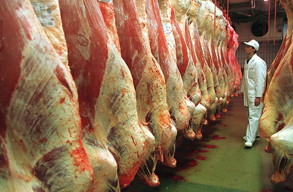 Помогите юэгую добыть мясо птицы 2. Мясо крупного рогатого скота. Производители мяса в Америке.