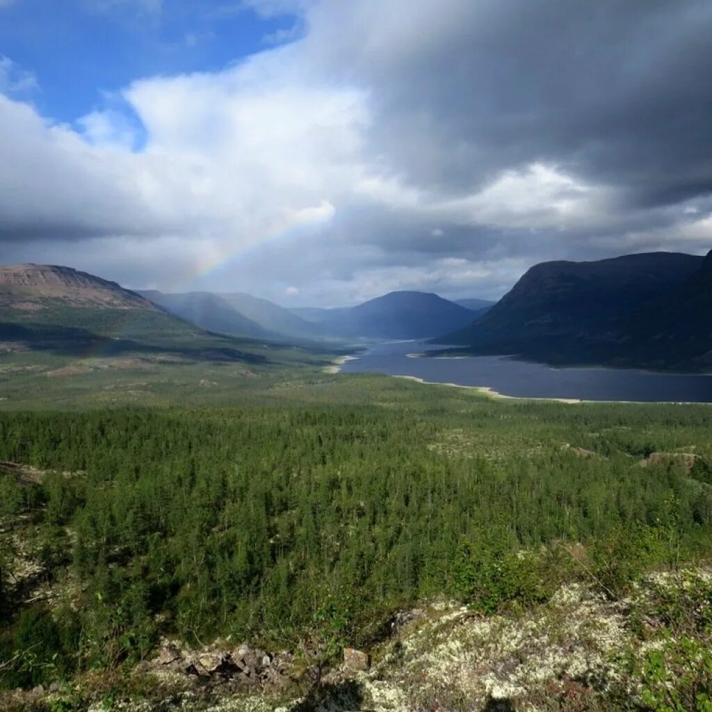 Плато Путорана горы. Гора камень на плато Путорана. Среднесибирское плоскогорье (плато Путорана),. Камень гора Путорана. Среднесибирское плоскогорье леса