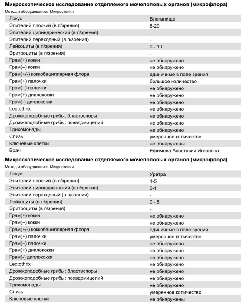 Микрофлора обнаружена что это значит. Бактериоскопическое исследование мазка при беременности. Микроскопическое исследование мазка норма. Микроскопия мазка на микрофлору норма.