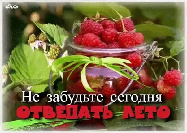 Краски лета цитаты. Маленький кусочек лета. Вам лета кусочек. Хочу кусочек лета. Открытки кусочек лета.