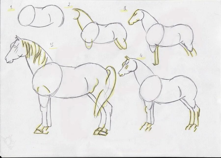 How to sketch