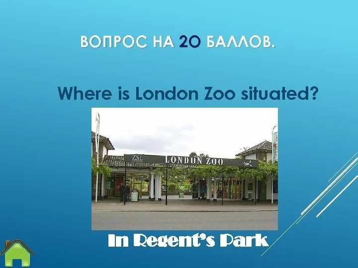 Where is the situated ответ. Лондонский зоопарк Риджентс-парк. Where is London. Where is London situated. London Zoo my favourite place in London Zoo.