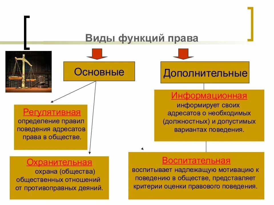 Законодательство является функцией