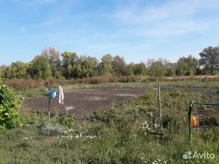 Погода в садовом воронежская область