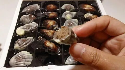 Шоколад ракушки