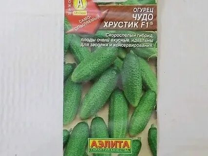 Хорошие семена огурцов для засолки