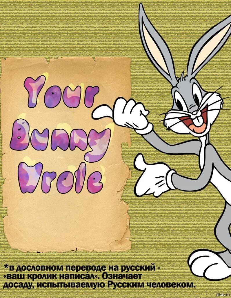 Твой кролик написал. Твой кролик написал на английском. Английский кролик прикольный. Your Bunny wrote Мем. Как будет твой кролик