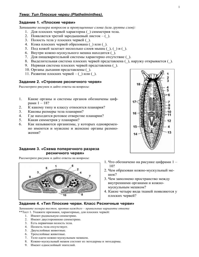 Тест тип черви. Задания плоские черви по биологии 7 класс. Тест по биологии 7 класс Тип плоские черви с ответами. Тест по биологии 7 класс круглые черви и плоские черви. Тест по биологии 7 класс круглые черви и плоские черви Тип кольчатые.