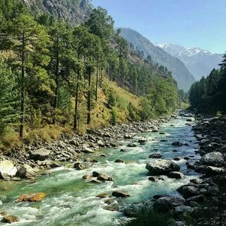 How nature
