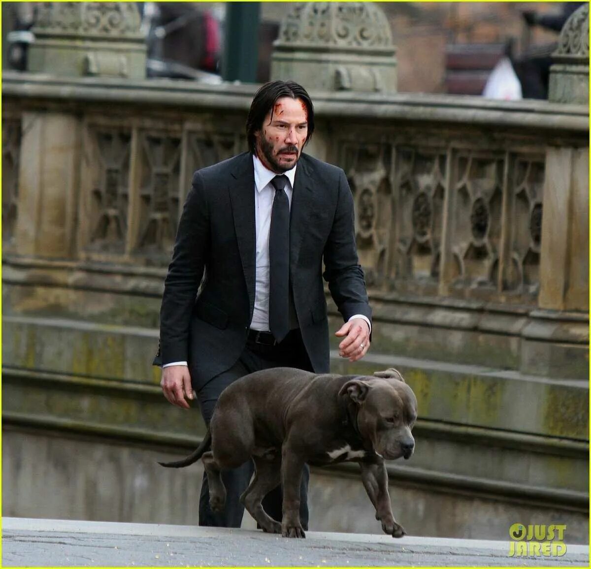 Джон уик 2 собака. Собака уика. Киану ривз джон уик с собакой. Киану ривз джон уик с собакой. Собака уика.