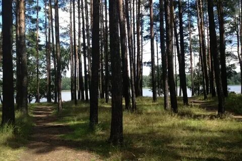 Белоозерск московская обл