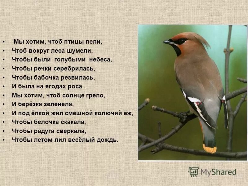 стихотворение наказ вокалисту. ноты для вокального ансамбля. ноты песни мы хотим чтоб птицы пели. песенка для детей по пдд. мы хотим чтоб птицы пели ноты жабко.