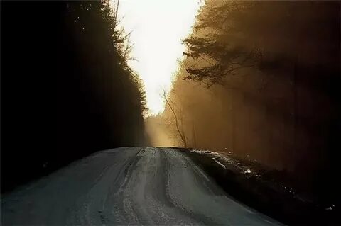 Дорога лыткарино
