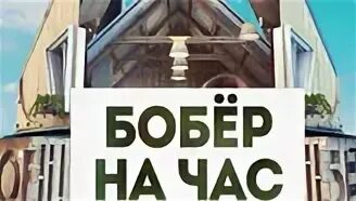 Бобер канал красноярск