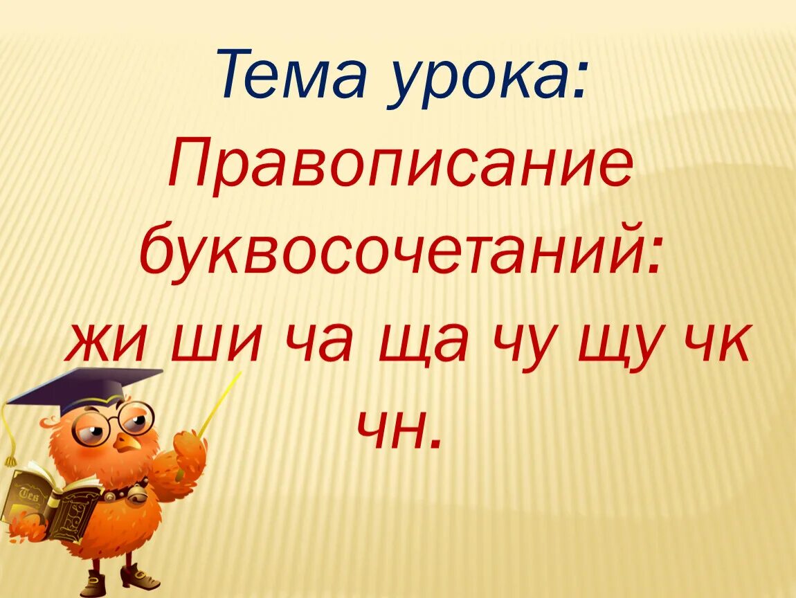 Правописание буквосочетаний жи-ши. Жи ши ча ща Чу ЩУ ЧК ЧН. Урок русского языка. Правописание жи ши ча ща Чу ЩУ ЧК ЧН ЩН.