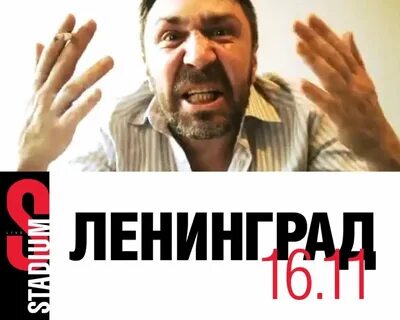 Ленинград выборы текст