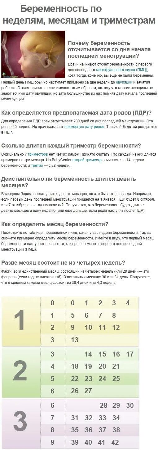 9 месяц беременности с какой недели начинается. Недели беременности по месяцам таблица. таблица триместров беременности по неделям. триместры беременности по неделям и месяцам таблица. триместры беременности по месяцам таблица.