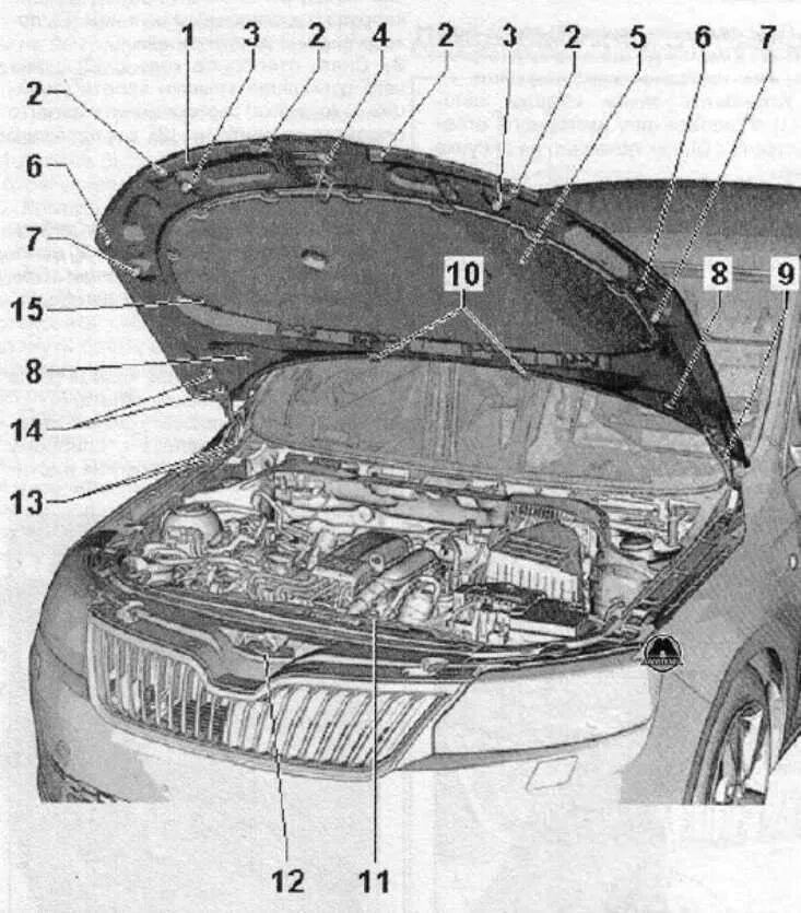 Машина капот строение. Устройство капота автомобиля. Устройство капота автомобиля. Устройство капота автомобиля. Фольксваген поло под капотом схема.