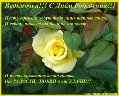 Открытка с днем рождения ведьма