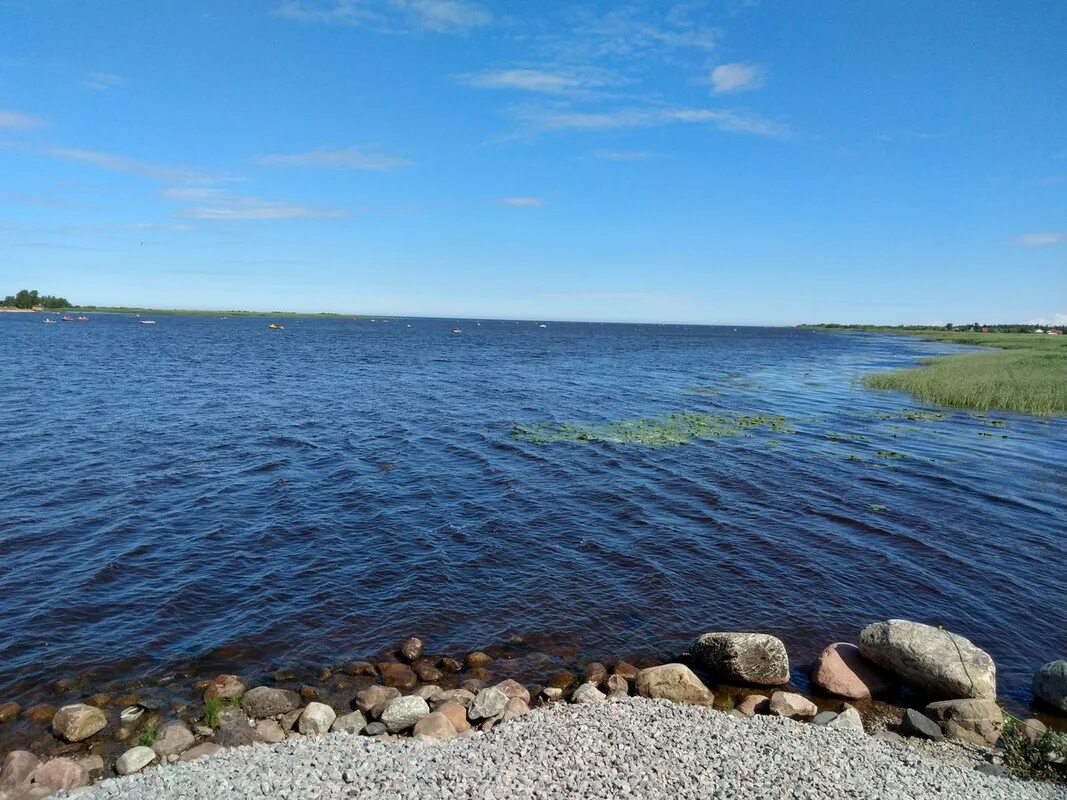 Озеро бол. Лодейное поле озеро. Самое большое озеро в Москве. Озеро большой и малый базары. Озеро большое Курейное Курганская область.