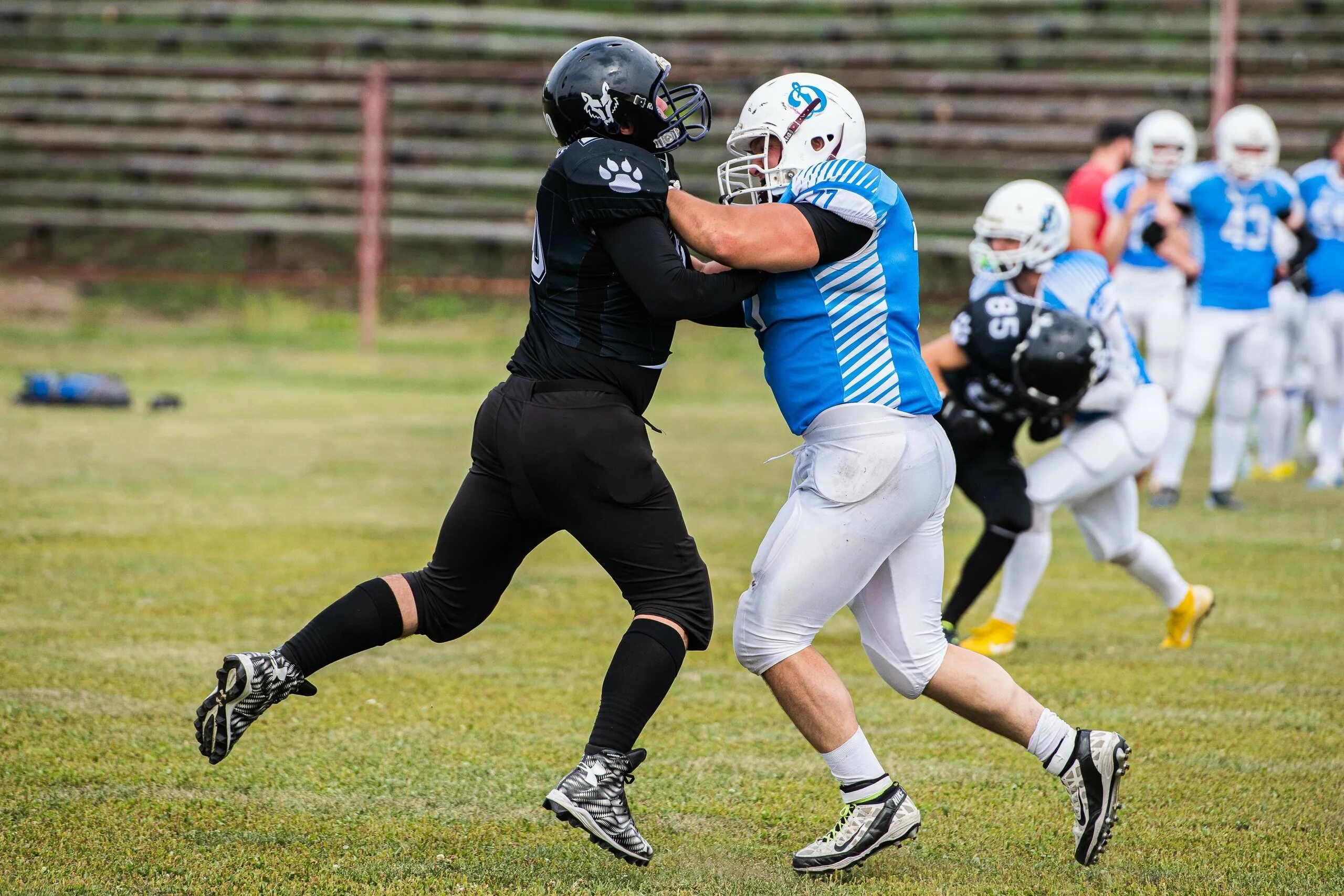 Джагуарс джайентс. Американский футбол чемпионат. Нфл американский футбол. Патриоты американский футбол. Команды нфл.