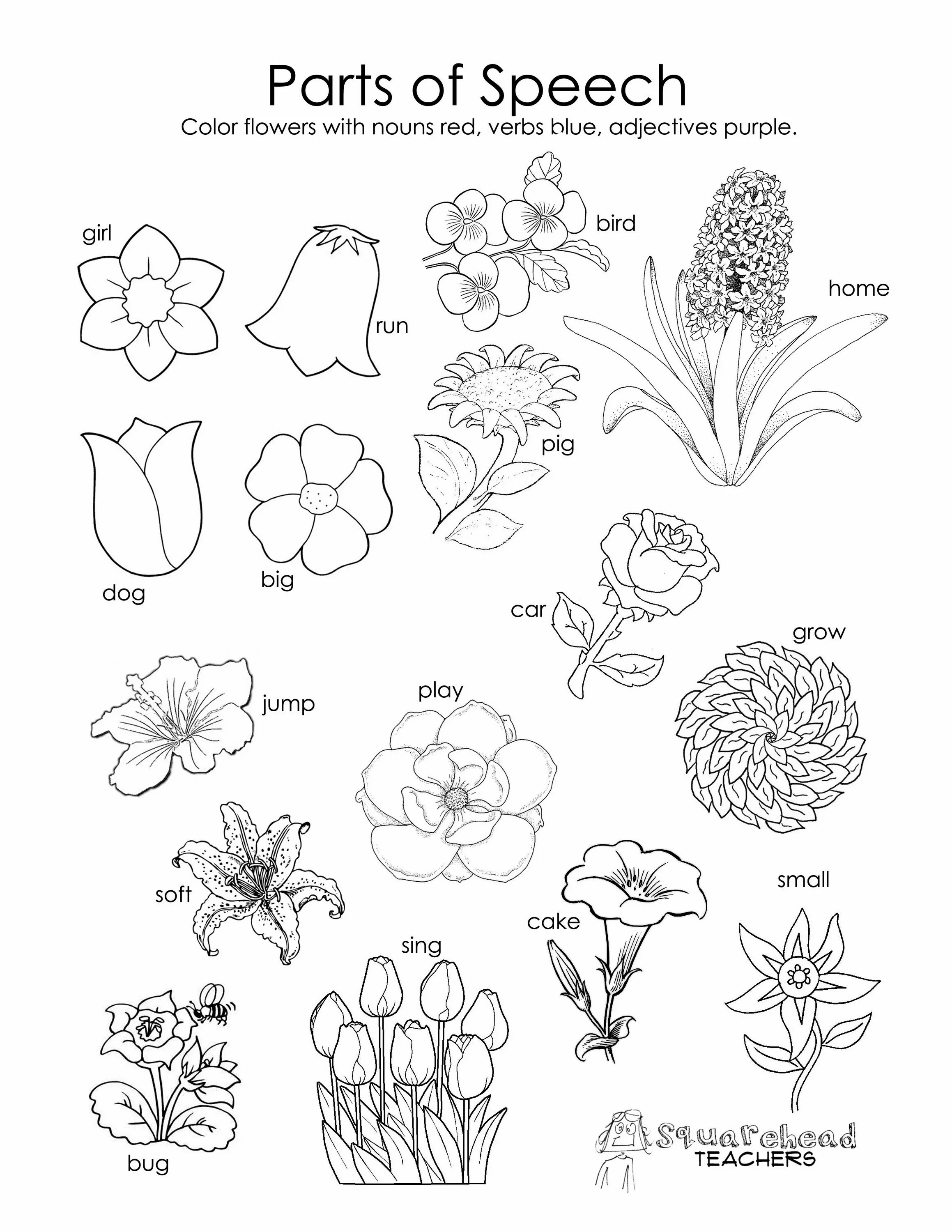 Flower exercise